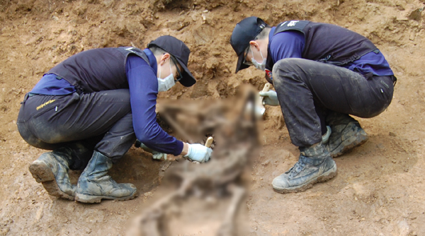 국방부 유해발굴감식단이 유해 발굴 작업을 벌이고 있다. 