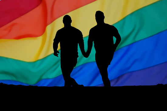 건강한 국가 장래를 혼란케 하는 가장 큰 주범이 동성애? 그러면 동성결혼을 합법화한 미국은?