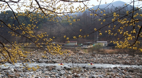  4일 함양 엄천강의 카약.