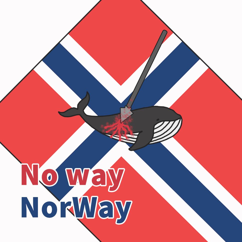 동물권단체 케어, 동물자유연대, 핫핑크돌핀스는 5일 오전 11시 30분, 주한 노르웨이 대사관 앞에서 고래학살 중단을 촉구하는 기자회견을 가졌다.