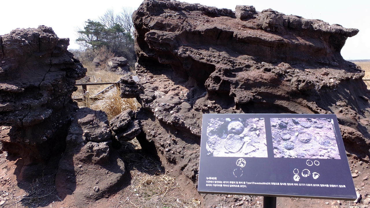 공룡알이 박혀있는 초원 위 기묘한 바윗돌. 