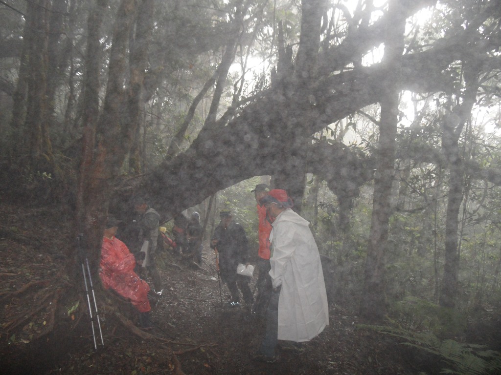  쏟아지는 굵은 빗줄기에 잠시 걸음을 멈춘 산빠람 회원들