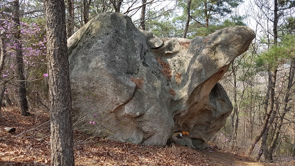 수덕사 육괴정 뒷산에 있는 남근바위이다. 
