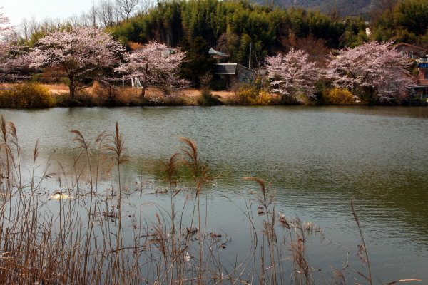 산청군 산청읍 척지마을