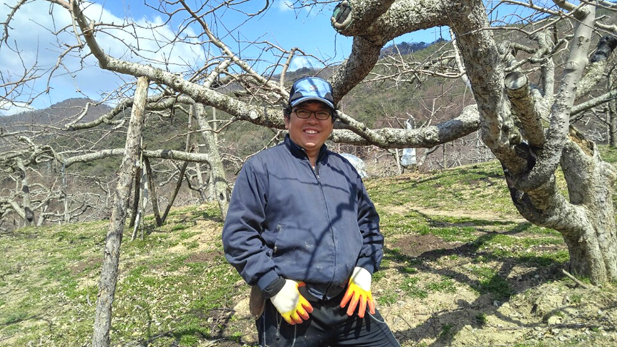  소백산 죽령 중턱 단양군 대강면 용부원 3리에서 사과농사 짓는 내 친구 윤영화