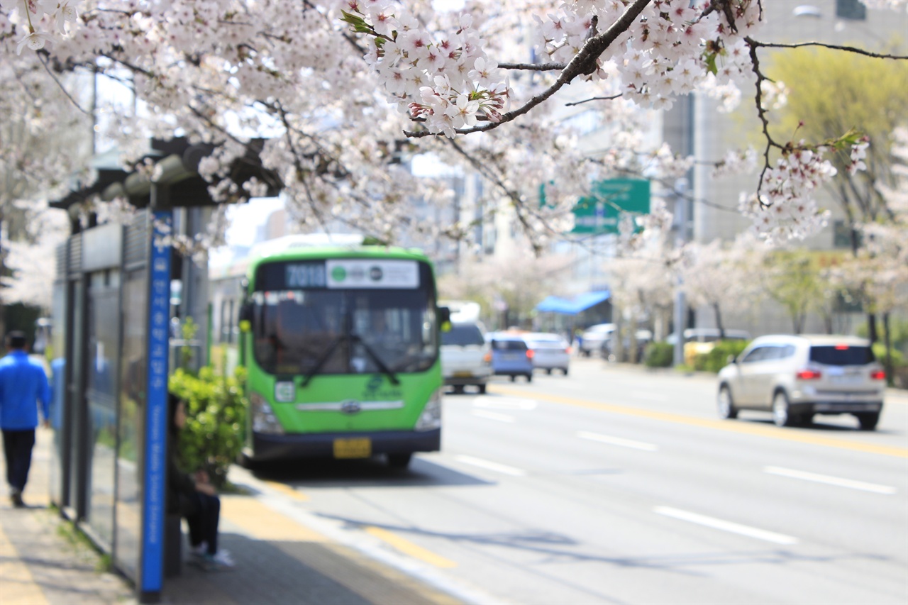 꽃피는 봄인데, 서울특별시의 장거리 버스 이용객에게는 잔혹한 봄이 되었다. 사진은 와산교.
