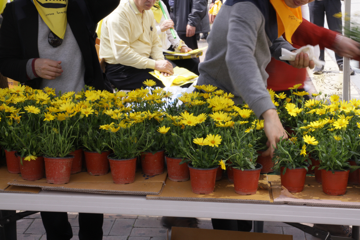 미수습자 수습과 진상규명을 바라는 마음에 참여한 시민들은 한손에 노란 꽃 화분을 들고 행진했습니다.
