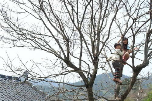 나무를 타는 두 아이.