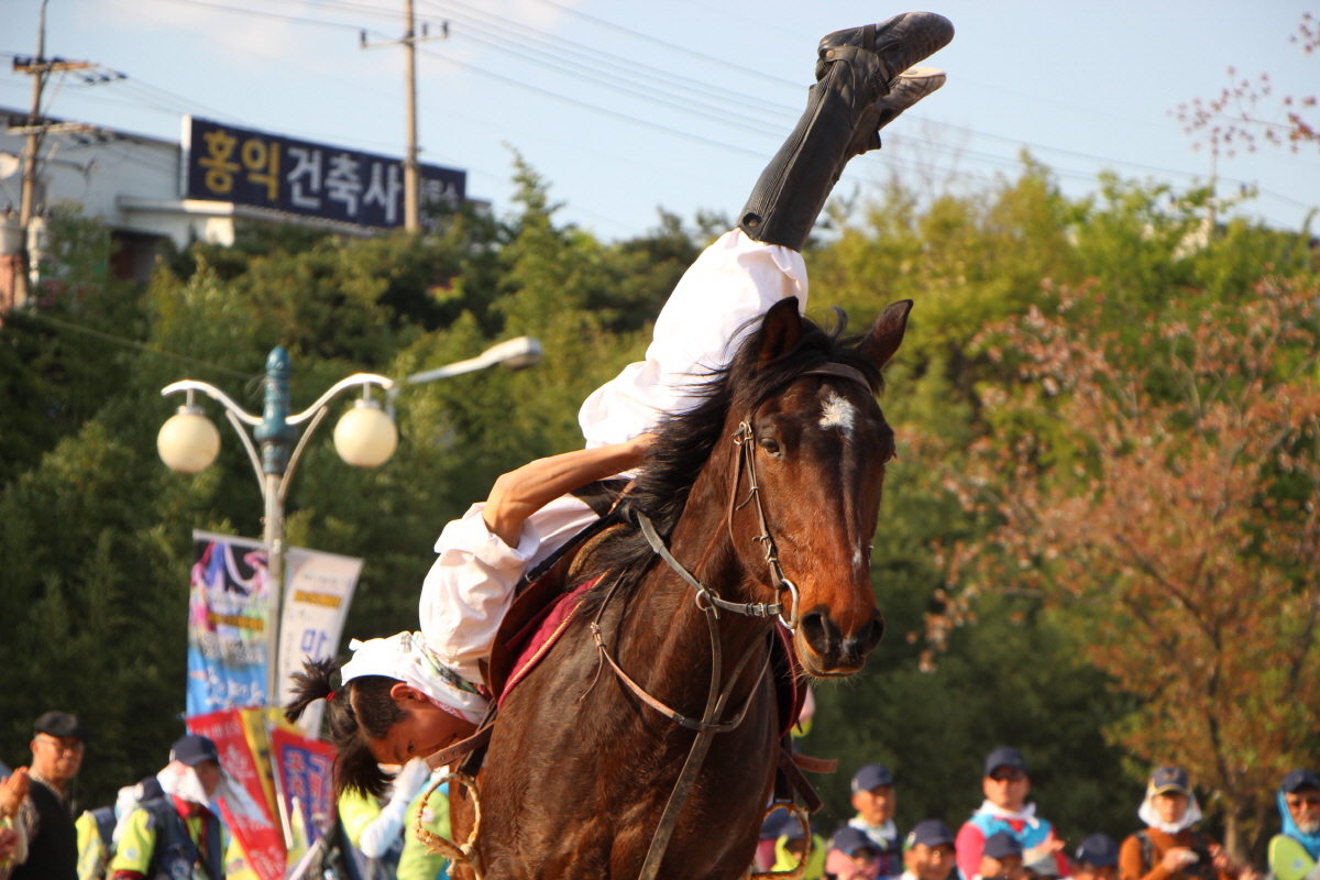  말 위에 거꾸로 서기