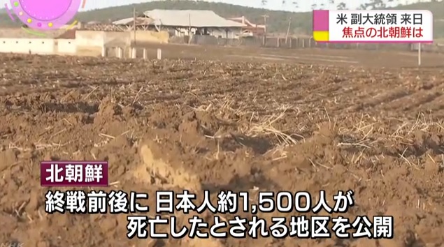 북한의 '잔류 일본인' 매장지 공개를 보도하는 NHK 뉴스 갈무리.