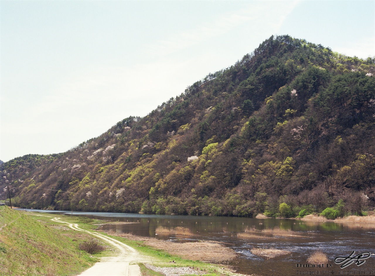 (645N/Ektar100) 감동교를 건너기 직전 만날 수 있는 금강과 언덕의 봄 풍경.