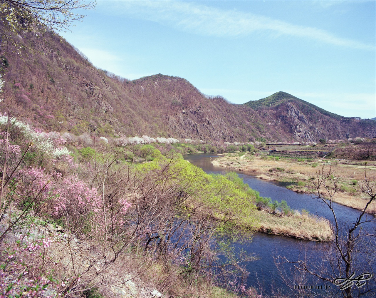 (67ii/Extar100)금강 벼룻길 중 일부의 모습. 벚나무와 산벚나무, 연두색으로 올라오는 2017년의 새 이파리가 함께 어우러져 색색의 봄을 연출하고 있다.