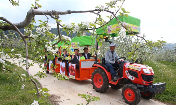  함양 수동면 도북마을 일원에서 열린 '사과꽃 축제'