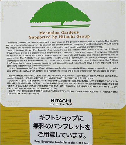 공원입구에 일본말로 히타치나무에 대해 써놓았다