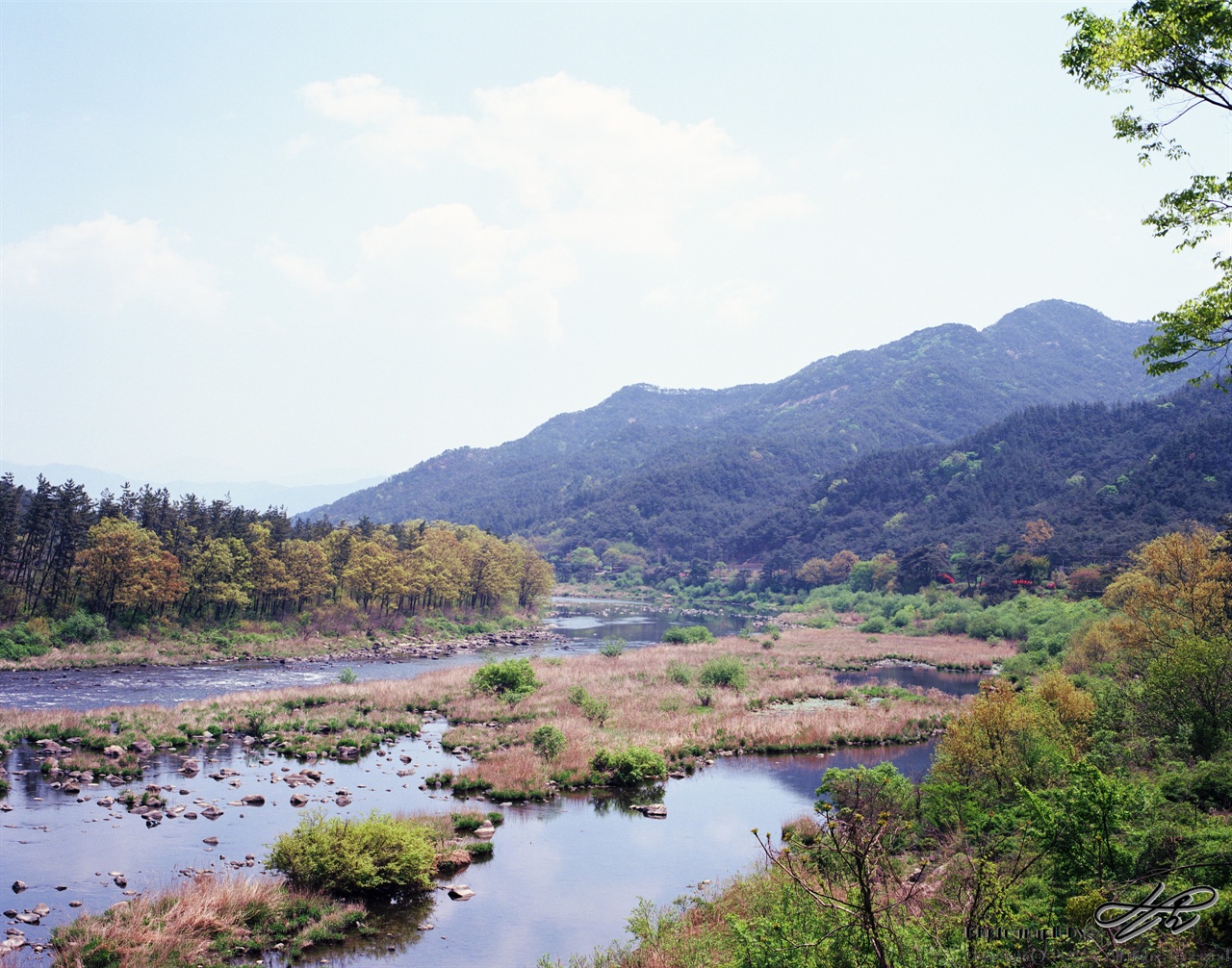 섬진강 따라(3) (Ektar100)대강면에서 곡성 읍내로 향하는 섬진강의 물줄기. 강변 양 쪽으로 왕복 2차로의 포장 도로가 잘 나 있으며 군데 군데 철쭉이 피어있다.