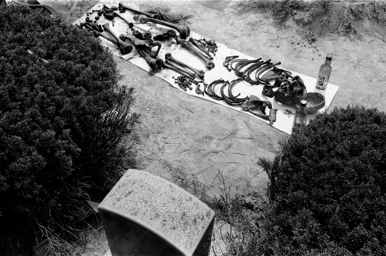 국립5.18민주묘지로 이장하기 위하여 구묘역에서 수습한 유골을 잠기 건조시키고 있는 모습(1997.04)