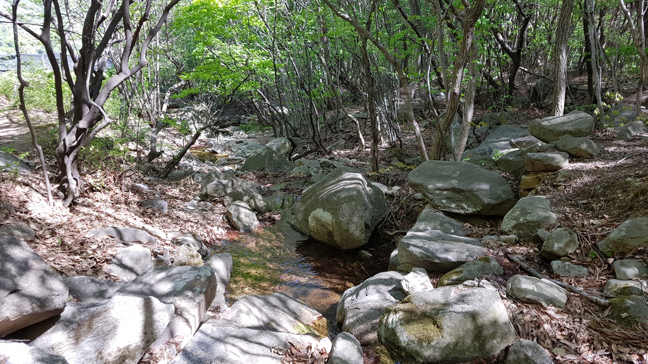 가야산 계곡에는 1급수에만 산다는 버들치가 살고 있다고 한다. 