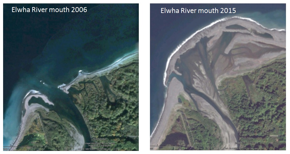 2011년 엘와댐이 폭파되면서 엘와강 하구에는 거대한 검은 모래 삼각주가 만들어졌다. 