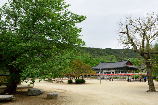 금산사 모악산 아래 자리한 금산사  절마당이 넓고 시원스럽다. 