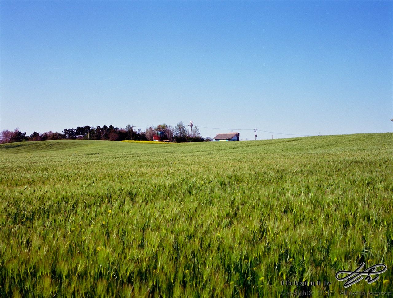 Ektar100 / 90mm / F11 / 60분의 1초 나무가 있는 풍경에서 조금만 더 걸어가면 입구 쪽에 있던 원두막과 전망대의 윗동만 보인다. 사진에서 보아 알 수 있듯이 입구쪽에서는 이곳을 걷는 이들이 보이지 않는다. 그래서인지 울타리를 넘어 소위 말하는 '인생샷'을 찍기 위해 밟혀진 보리 줄기들이 뭉텅이로 쓰러져 있었고, '제발 들어가지 마세요. 정말 수고해서 키운 작물입니다.'라는 호소문이 군데 군데 써 있었다. 씁쓸했다.