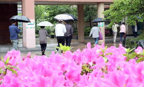 제19대 대통령 선거일인 9일 오전 부산 해운대구 센텀초등학교에서 유권자들이 우산을 들고 연산홍이 활짝 핀 화단을 지나 투표소로 향하고 있다.