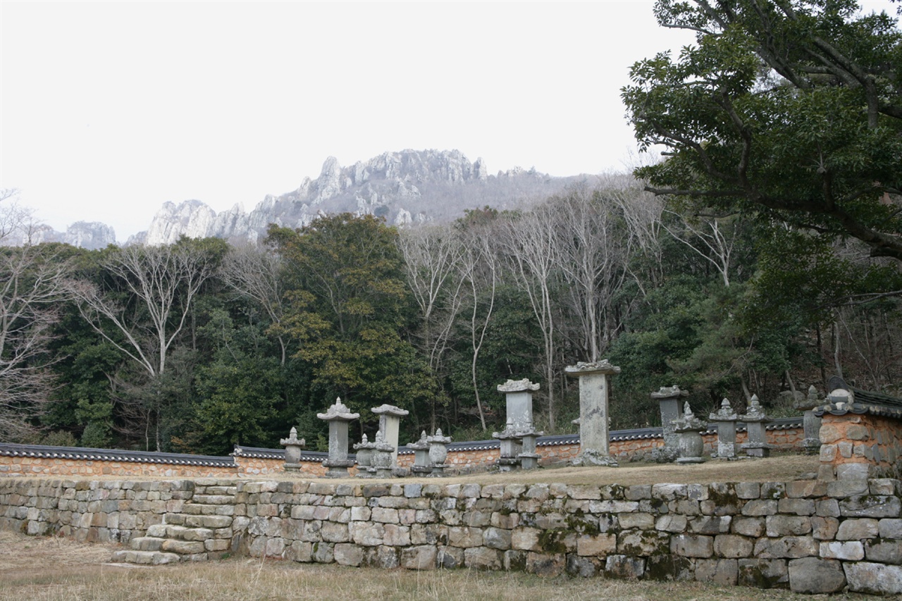  미황사 부도밭 전경. 부도에 새겨진 동물문양을 찾아보는 재미를 느낄 수 있는 공간이다.