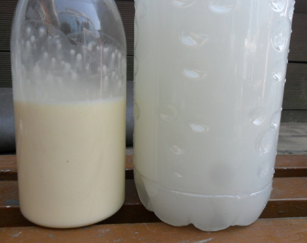 식용유와 계란노른자로 만든 난황유(왼쪽) 물에 희석하여 사용한다(오른쪽)