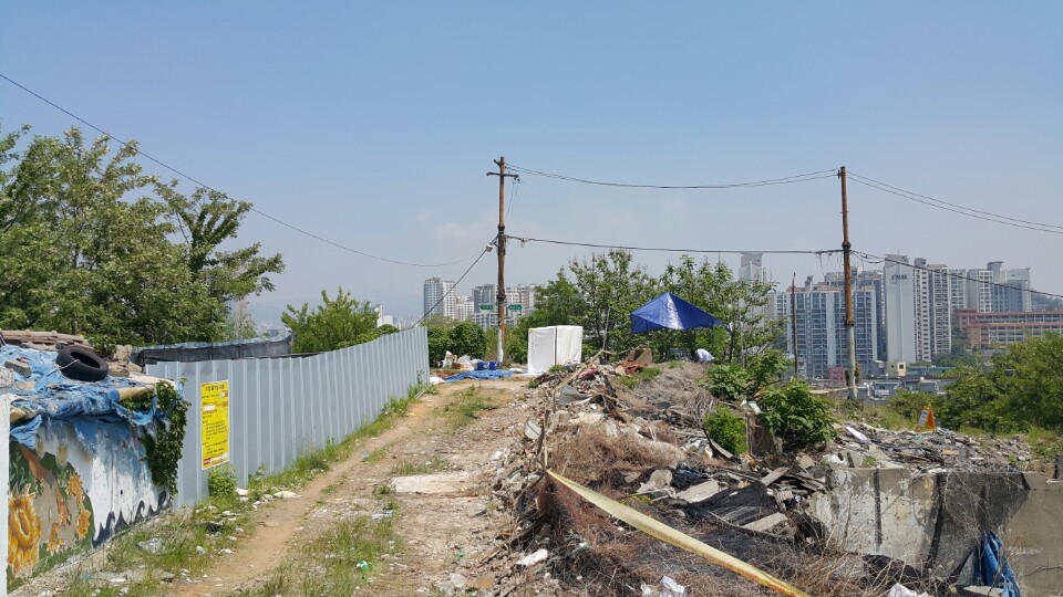 지난달 언론의 많은 주목을 받았던 서울 '상도4동 쓰레기산' 박영란 기자. 