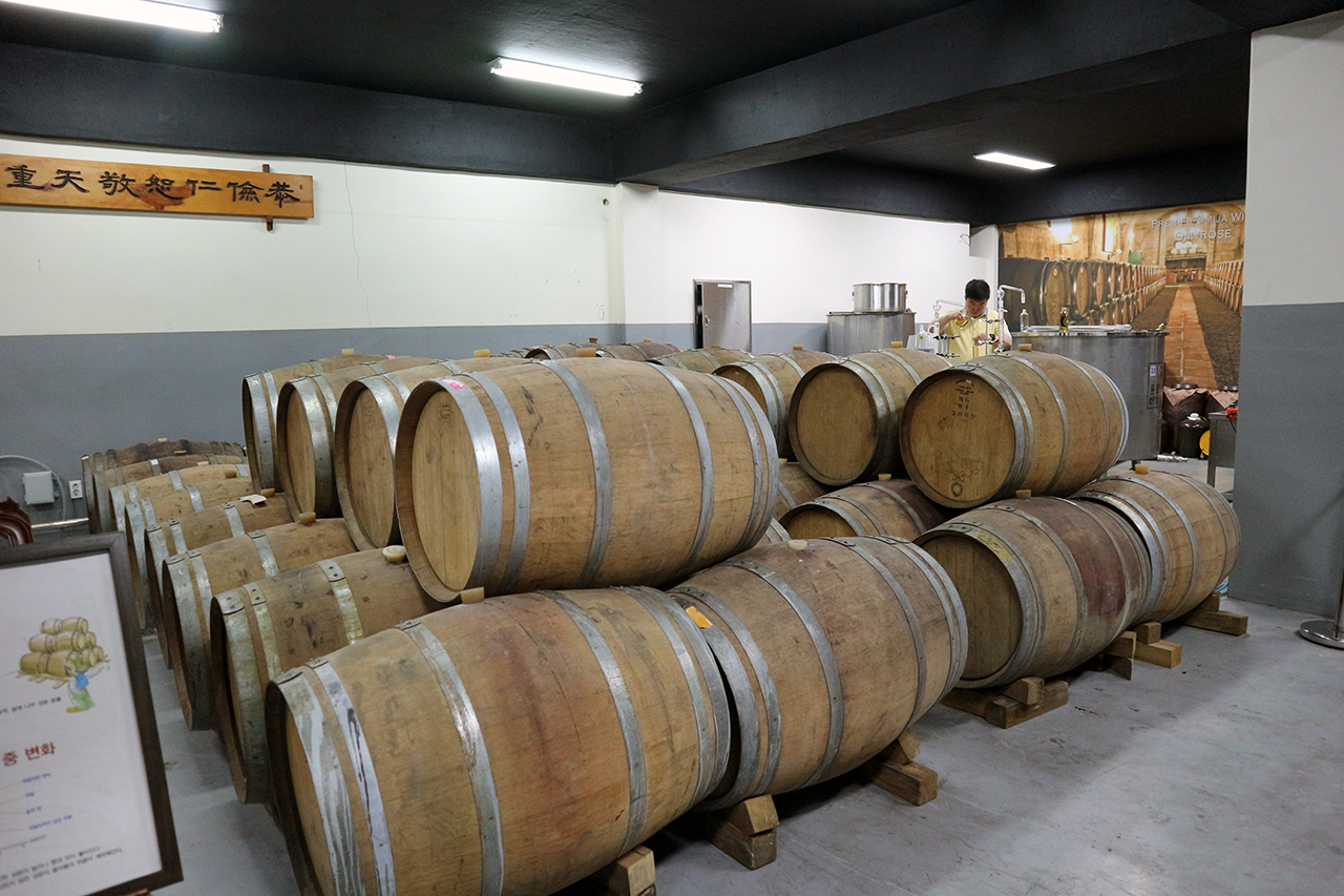 오크통에서 와인이 숙성되고 있다.