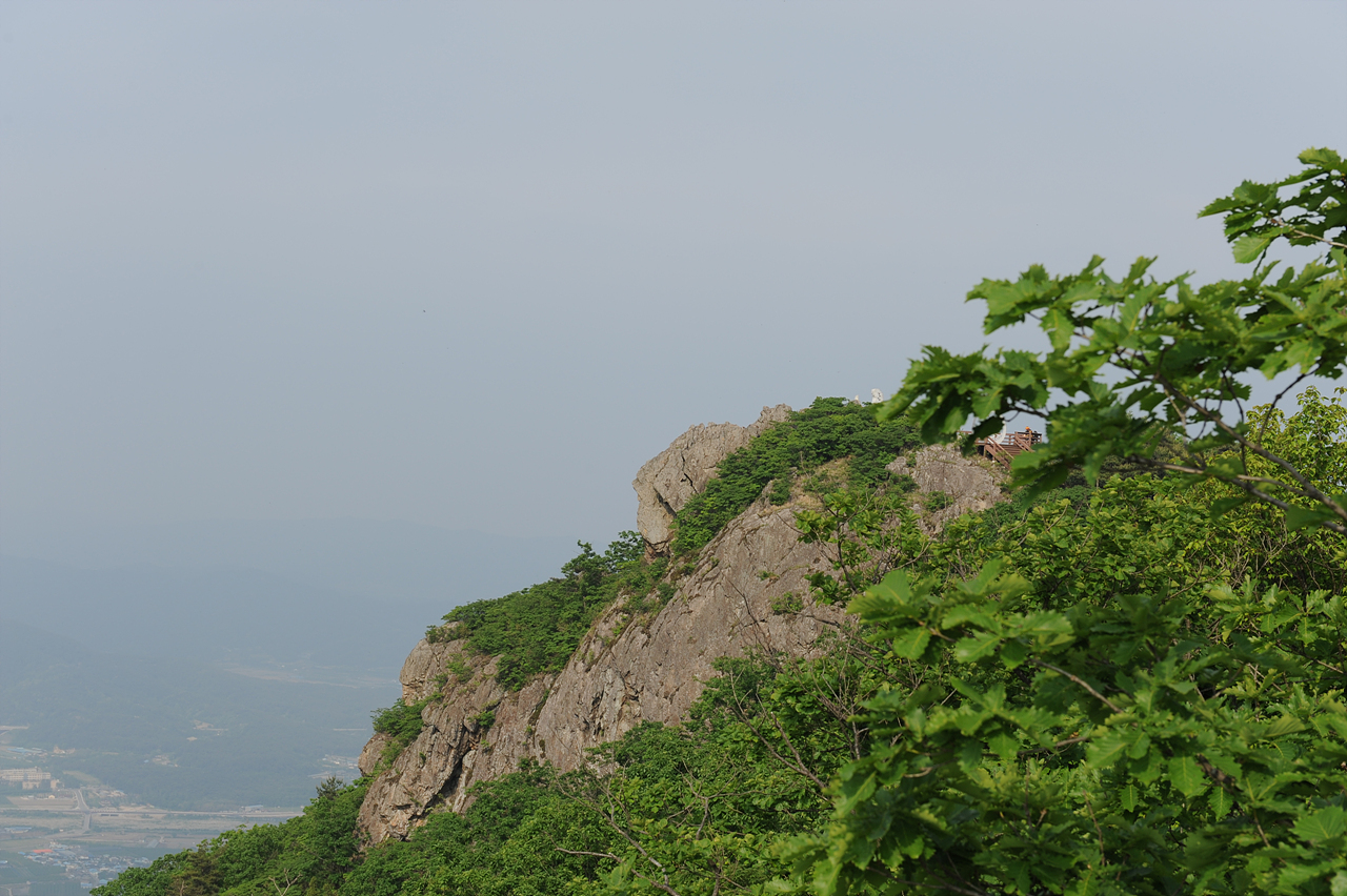 전망대에 서서 봉황을 닮았다는 봉좌산 정상을 바라봅니다. 아무리 봐도 봉황 모습은 보이지 않는데 이 각도가 아닌지도 모르겠습니다.