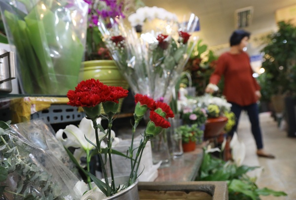 스승의날을 하루 앞둔 지난 14일 오후 서울 반포 꽃시장에 카네이션이 소량만 진열돼 있다. (자료사진)
