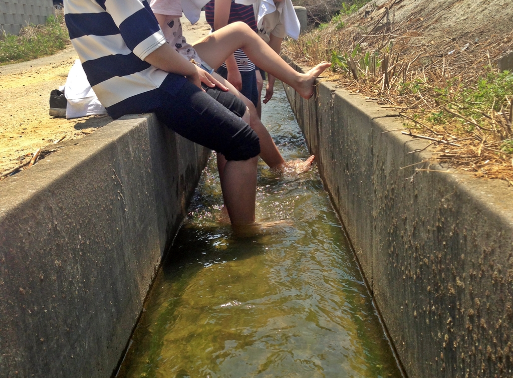 모를 심은 학생들이 도랑물에 흙 묻은 발을 씻고 있다. 