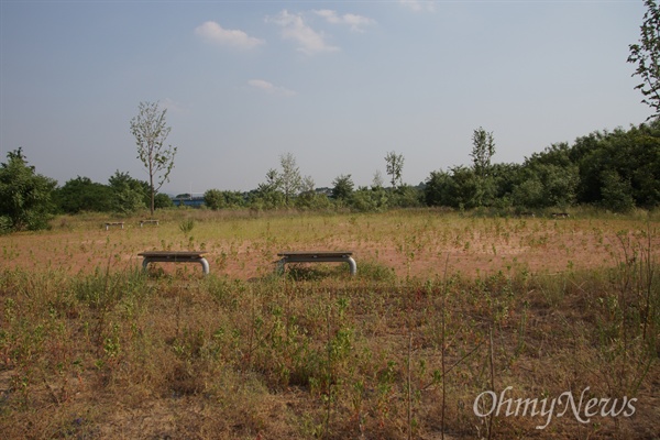 낙동강 달성보 하류에 있는 개진강변공원. 의자만 덩그러니 놓여 있고 풀이 무성하게 자라 있다.