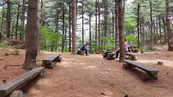  가야산 내포문화숲길, 잣나무 쉼터이다. 사진찍기 좋은 장소로 꼽힌다.  