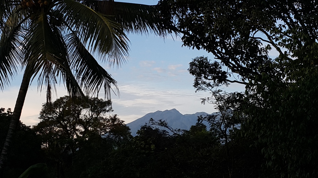 시계 좋은 날이면 멀리 살락산(Gunung Salak, 해발 2,211m))을 창인 듯 보여주고, 마을 풍경을 함께 굽어 즐기던 야자수