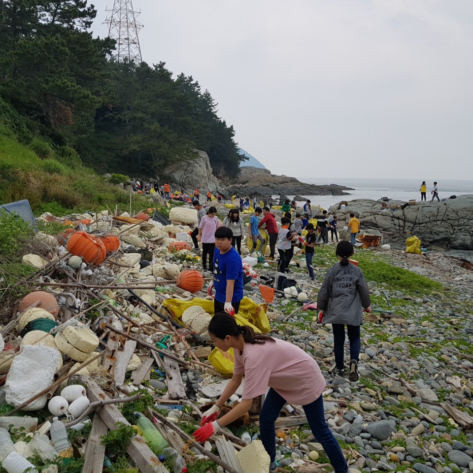 바다의 날 행사에 참여한 시민들이 해양쓰레기를 수거하고 있다. 이날 대형 자루 300개 넘게 처리했다.