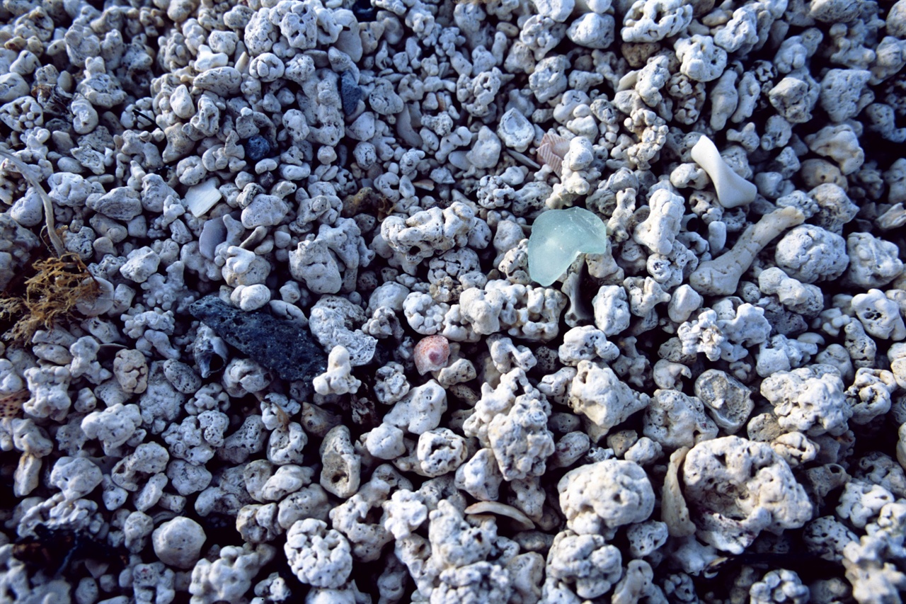 (35mm/Provia100F)홍조단괴 서빈백사 해수욕장을 이루고 있는 홍조단괴의 모습. 알갱이가 크지만 동글동글해서 밟아도 아프지 않다.