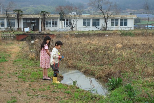 비 온 뒤 도랑이 생기고, 이 도랑에서 사람 발자국 소리를 듣고 깜짝 놀란 개구리 들여다보기