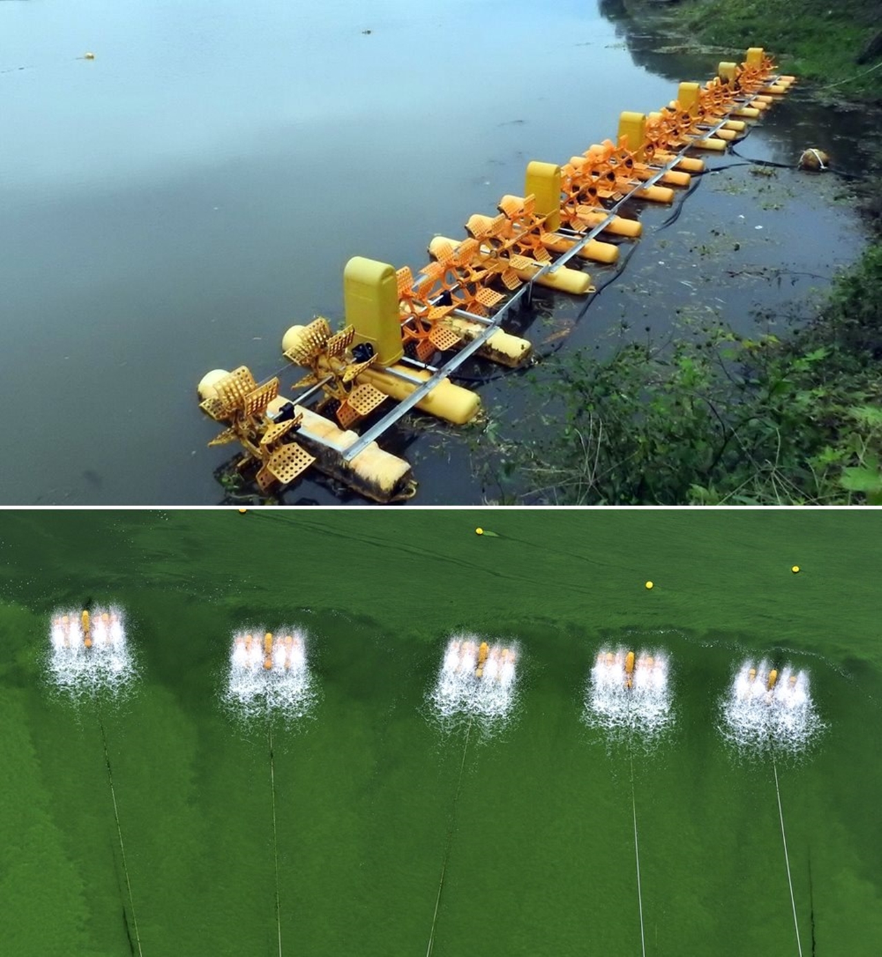 녹조라떼를 줄이기 위해 4대강에 수차가 설치되어 있다.(사진 위) 수차를 열심히 돌리고 있지만 녹조라떼는 변함없다.