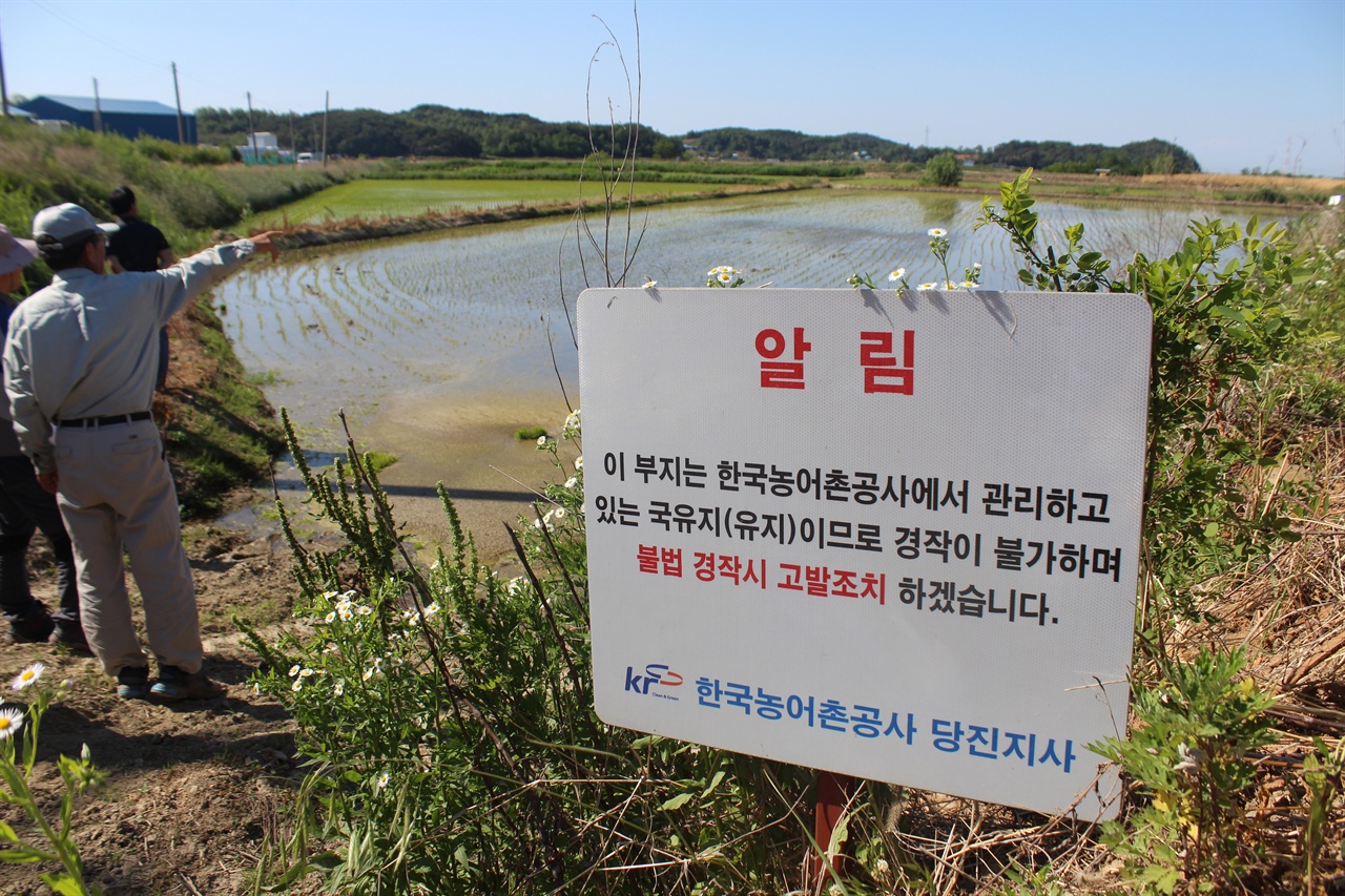 당고지구 유지 앞 표지판 농지전용하고 있는 당고지구 현장. 김영곤 선생이 설명하고 있다.