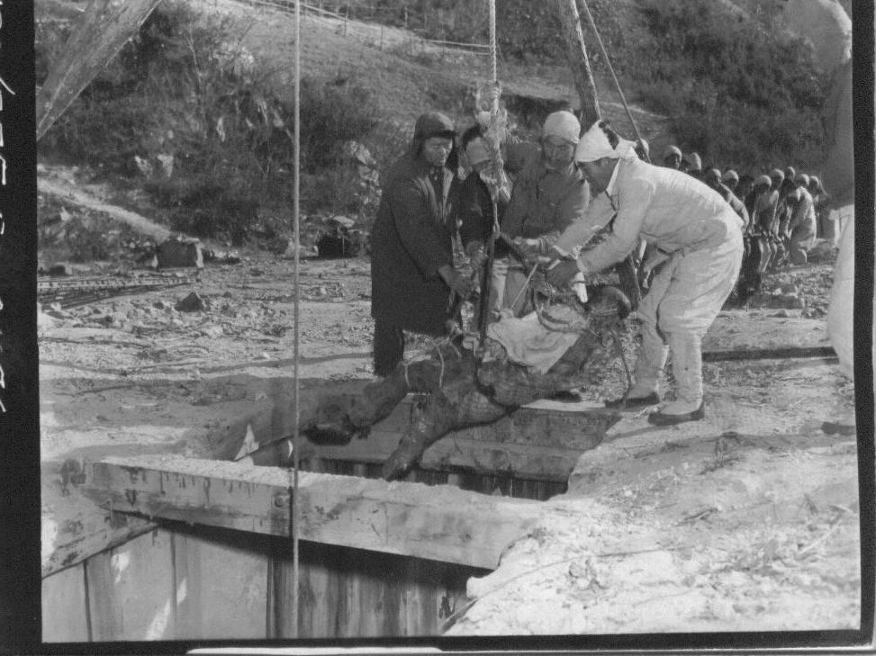  1950. 11. 13. 함흥. 덕산 광산 갱도에서 학살된 시신을 주민들이 끌어올리고 있다.