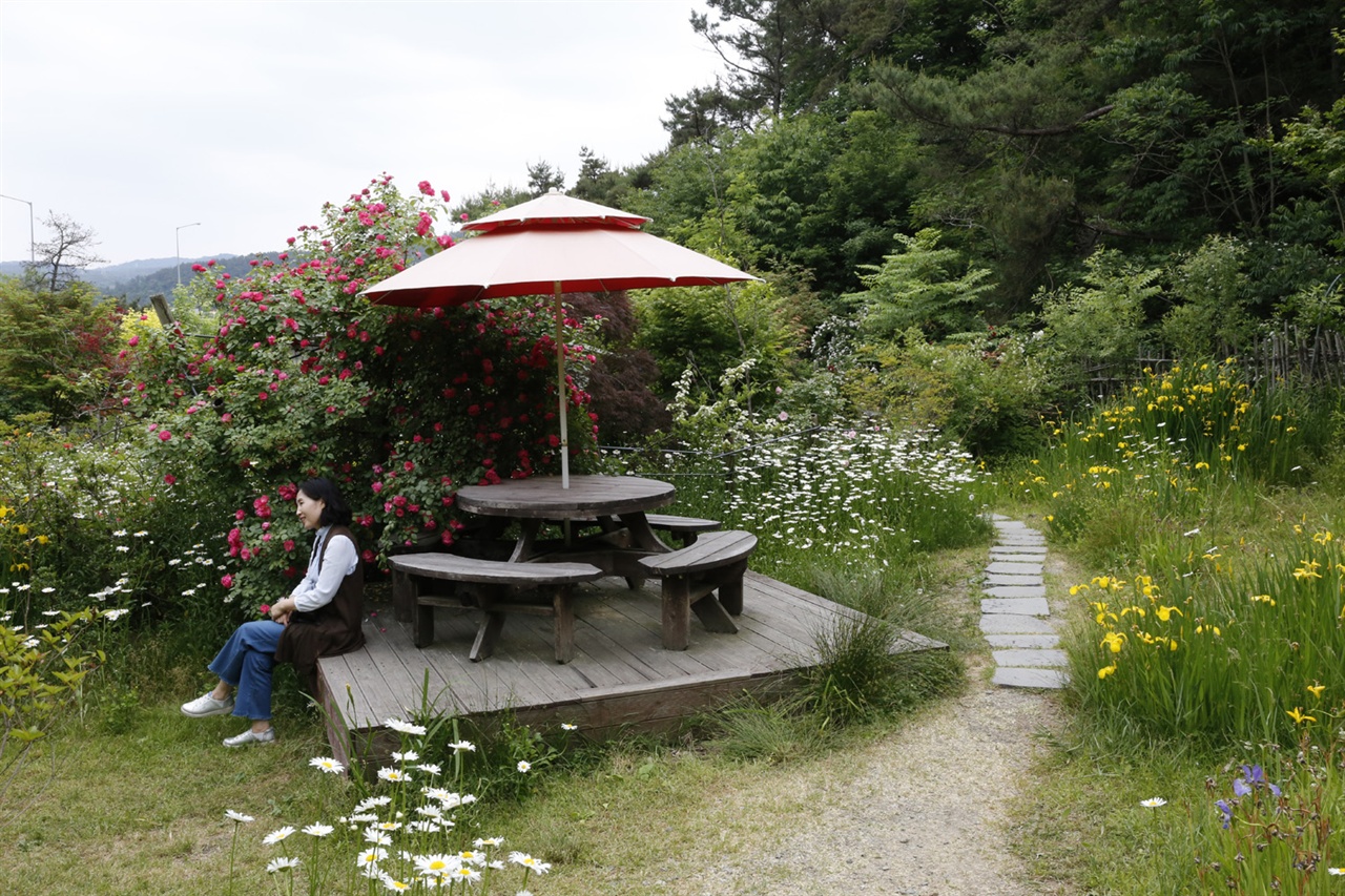 죽화경을 찾은 관광객이 파라솔이 설치된 정원에서 기념사진을 찍고 있다. 지난 6월 1일 오후다.