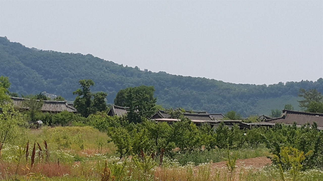 이목 선생이 사셨던 경북 의성군 금성면 산운리의 산운 이씨 동족 마을