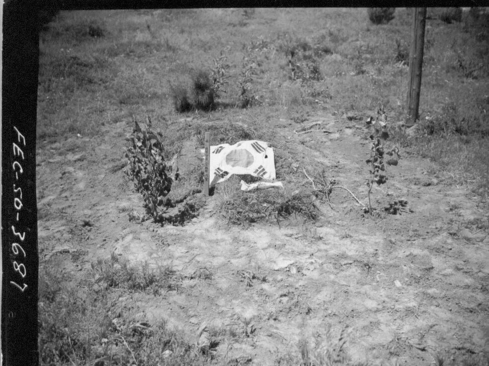 1950. 7. 5. 태극기로 덮은 한 국군 용사의 무덤.