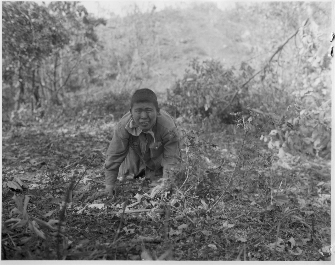  1951. 9. 20. 수풀 속에 숨어있던 한 인민군 병사가 총구 앞에서 짐승처럼 기어 나오면서 투항하고 있다.