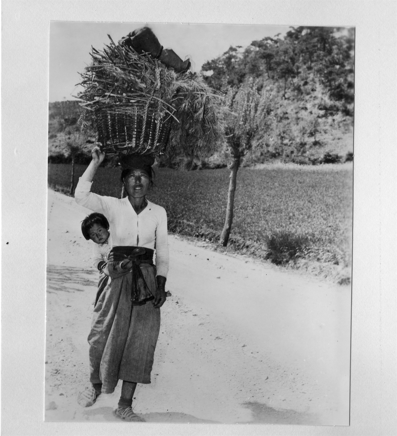  1953. 한 아낙네가 아이를 업은 체 땔감을 머리에 이고서 집으로 돌아가고 있다. 
