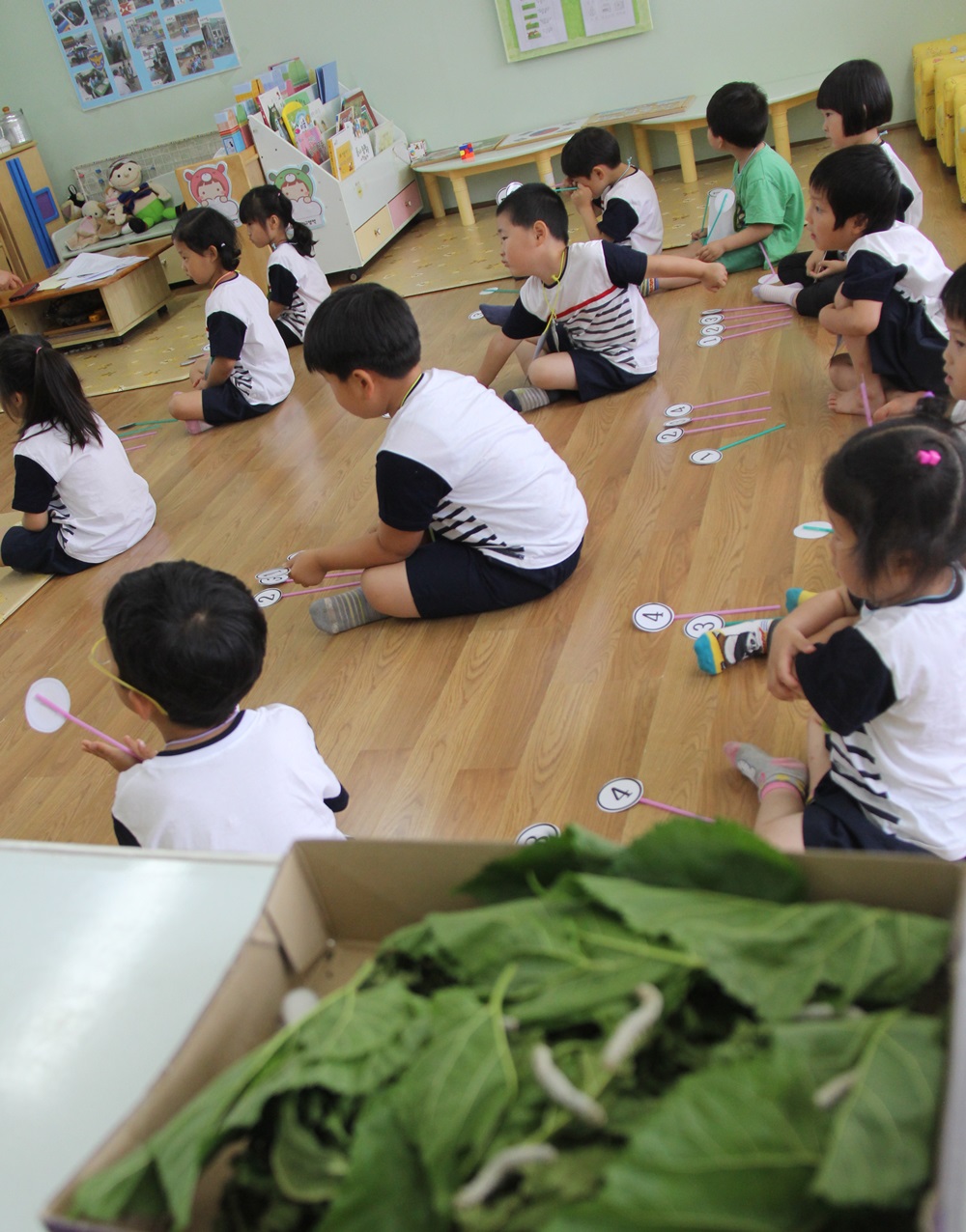 아이들이 퀴즈대회를 하고 있는 부여 마정초 유치원 교실 한 켠에서 누에가 뽕잎을 먹느랴 바쁘다. 유치원생들이 돌보는 누에다. 
