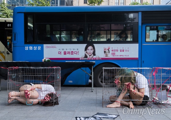 동물보호단체 활동가들이 23일 오후 서울 광화문역 일대에서 동물살처분 등을 반대하며 동물권리 보호를 위한 퍼포먼스를 펼치고 있다.