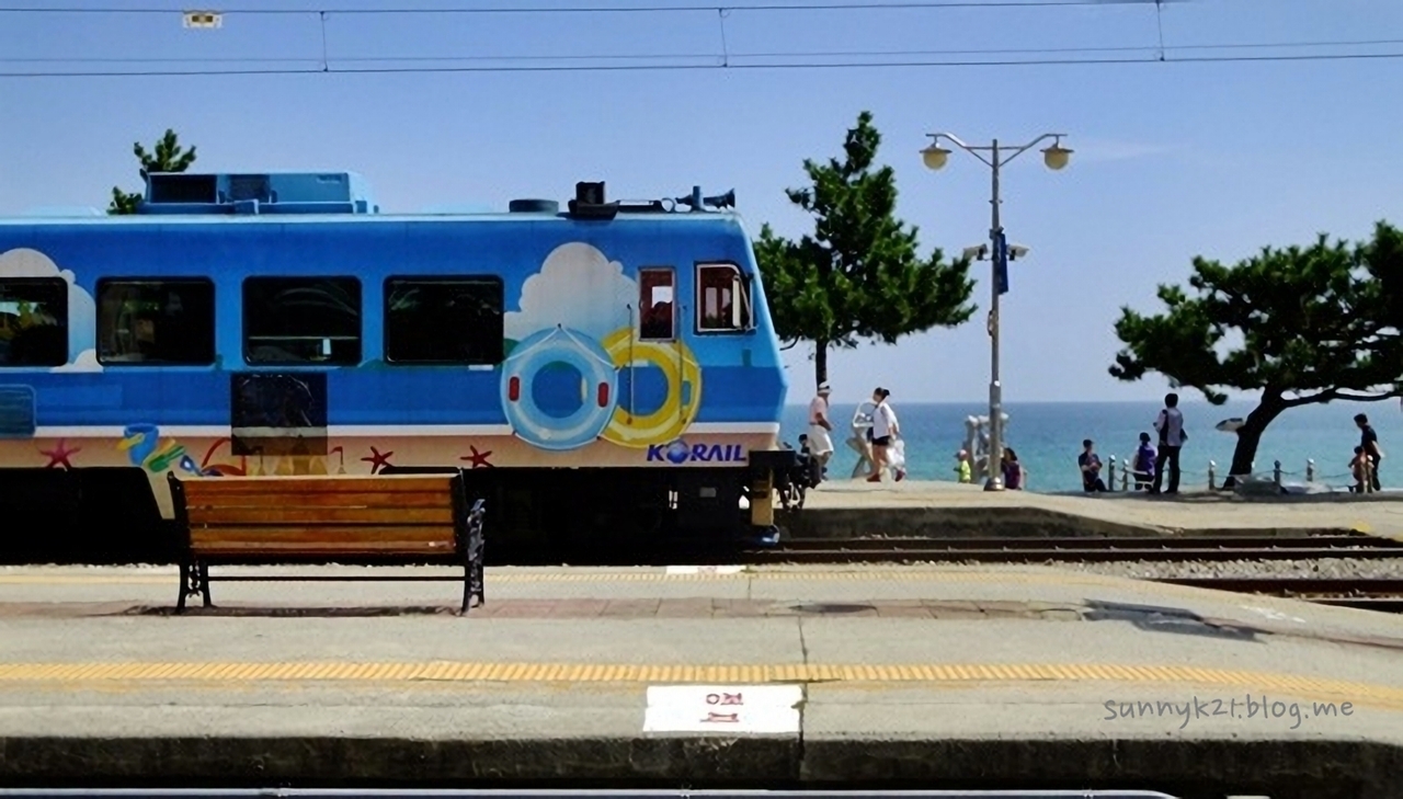 상쾌한 바다에서 레포츠를 즐길 수 있는 동해안 기차여행. 