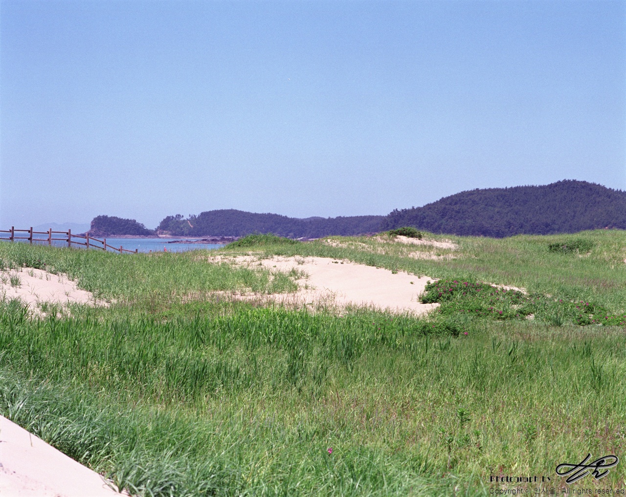 신두리 해변 (67ii/Pro160NS)신두리 해안사구 탐방로가 시작되는 지점. 입구에서 왼쪽으로 보이는 풍경.